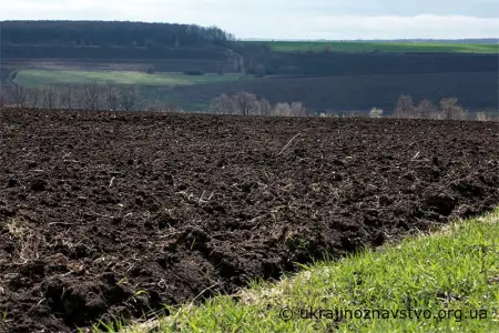 Український чорнозем